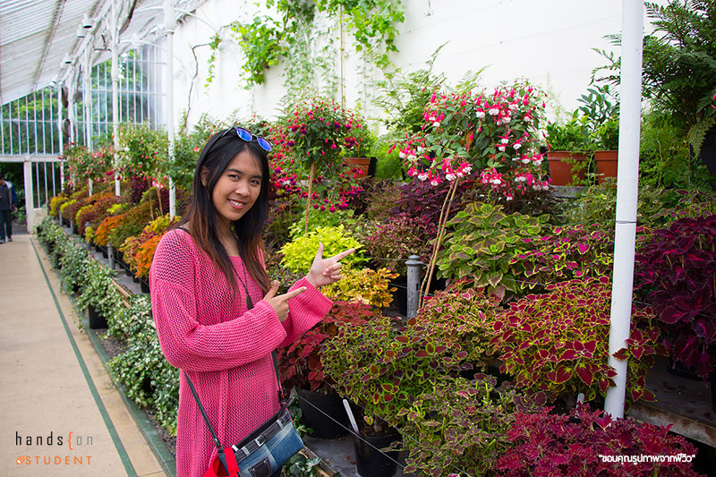 สวน Botanic Garden
